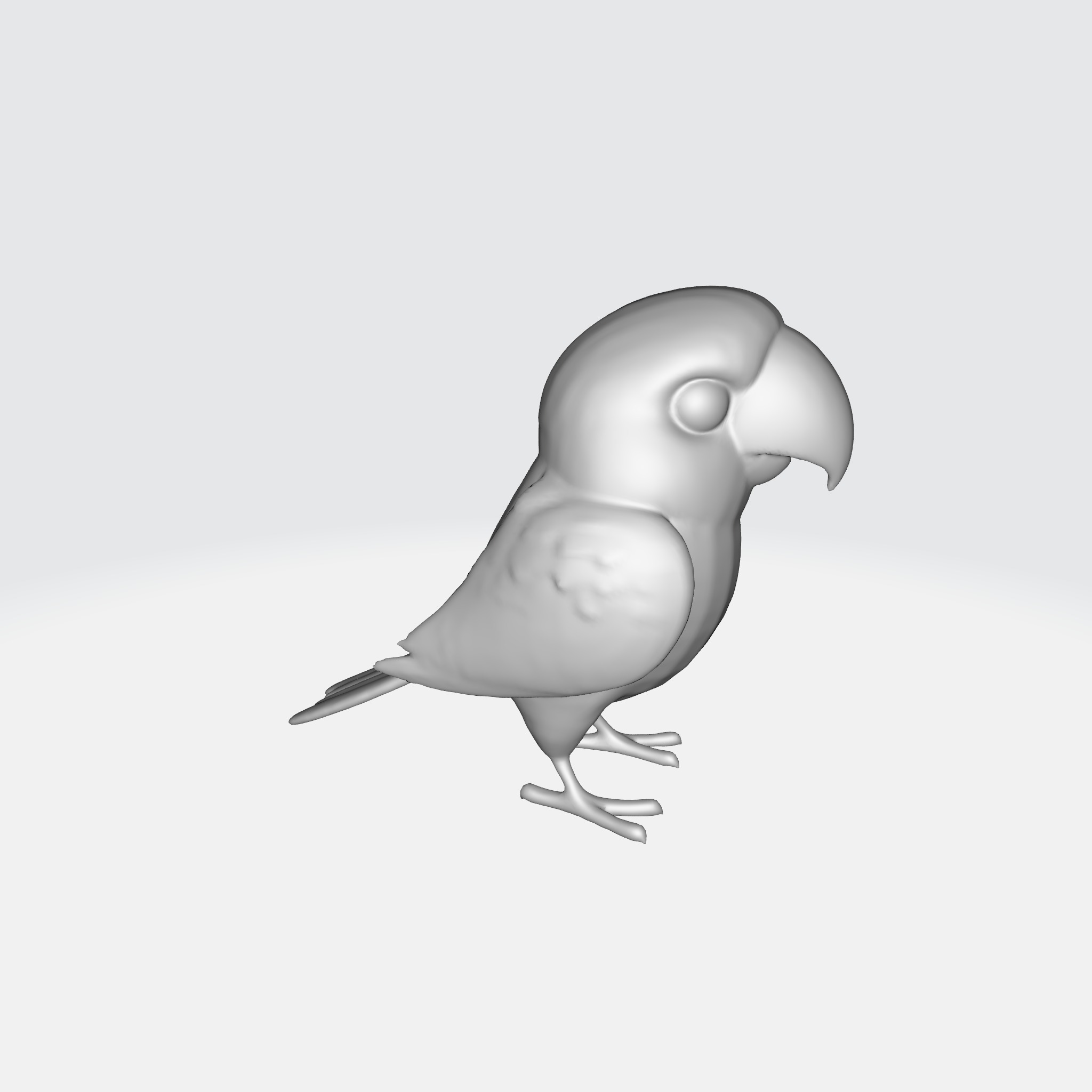 Adorable Parakeet 3D model_6
