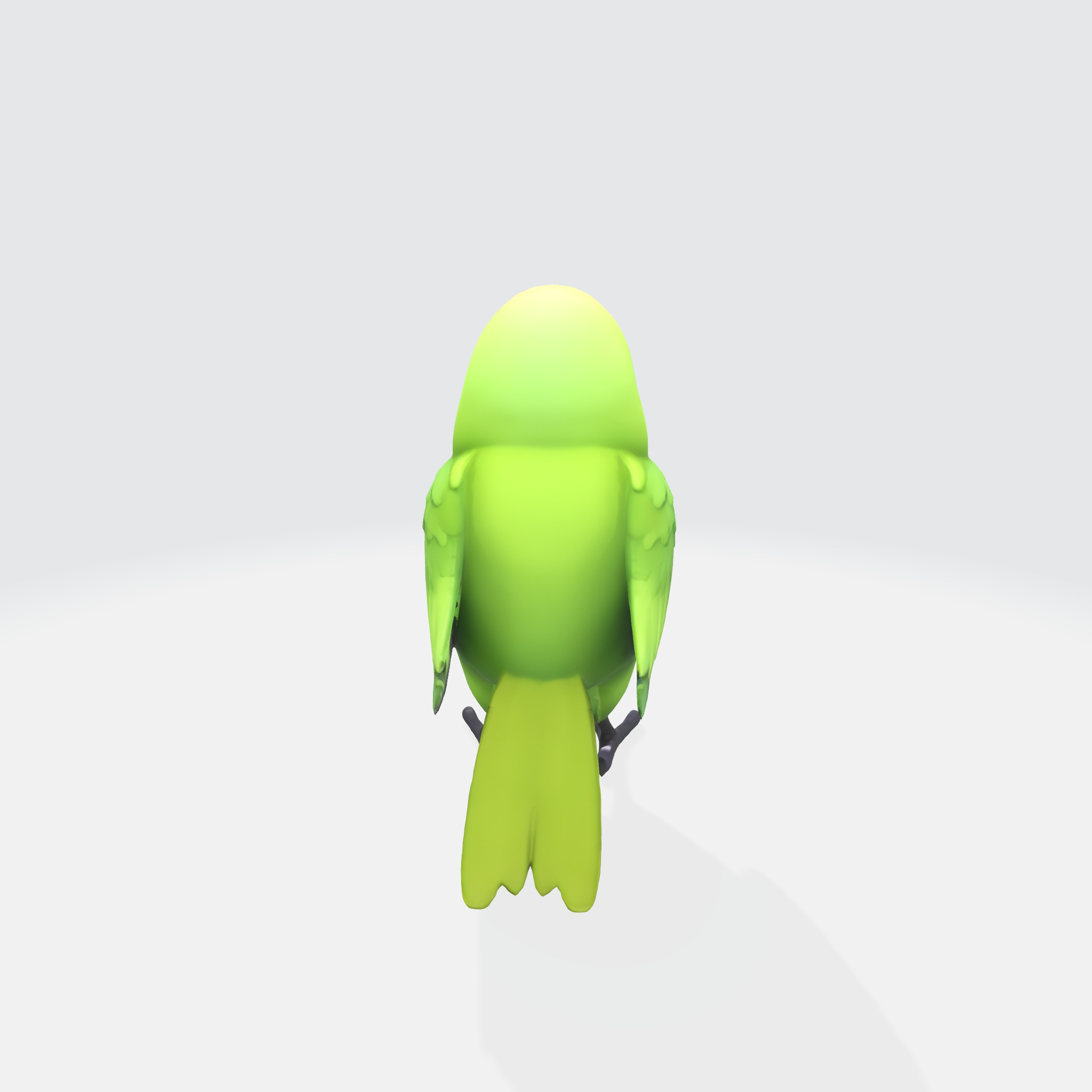Adorable Parakeet 3D model_2