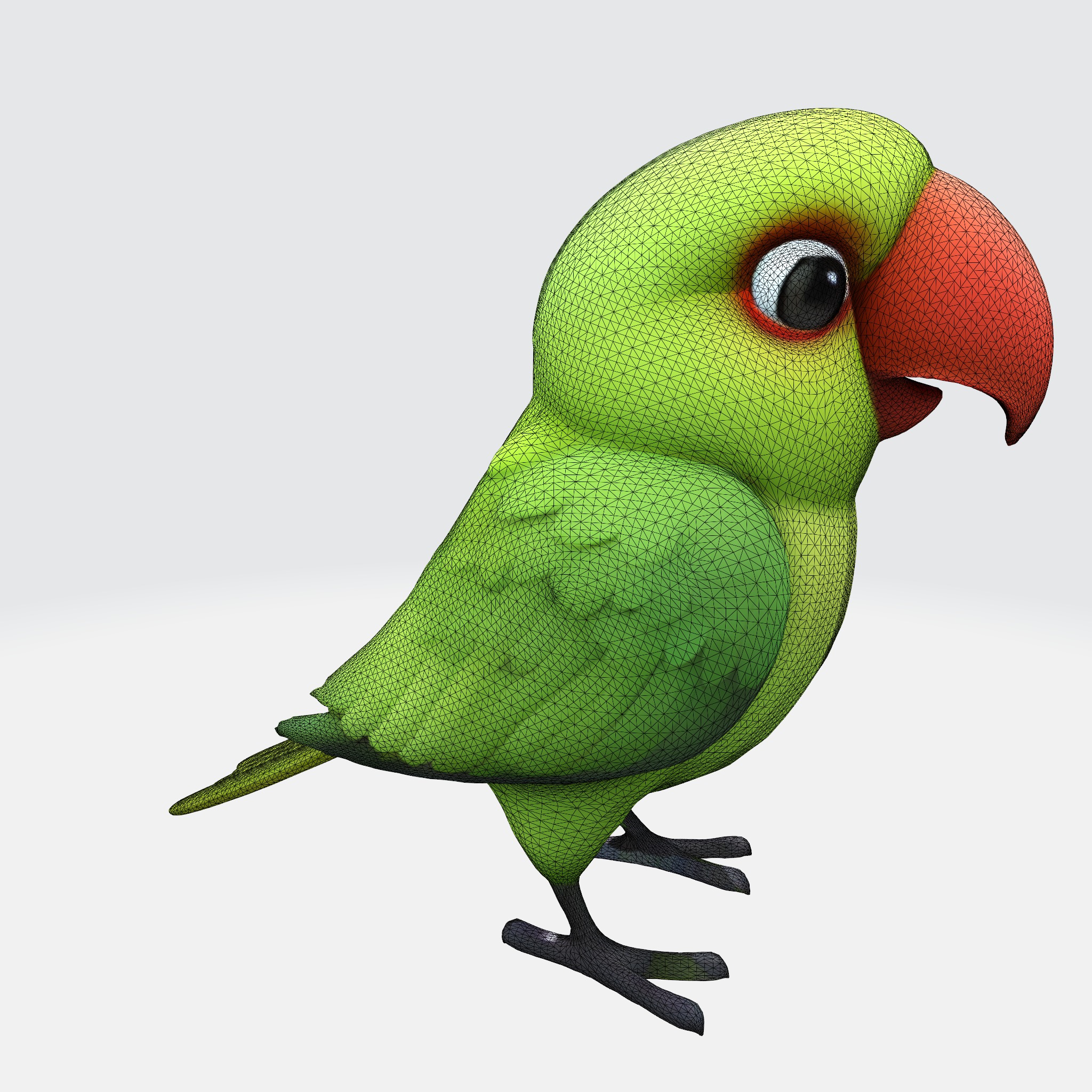 Adorable Parakeet 3D model_11