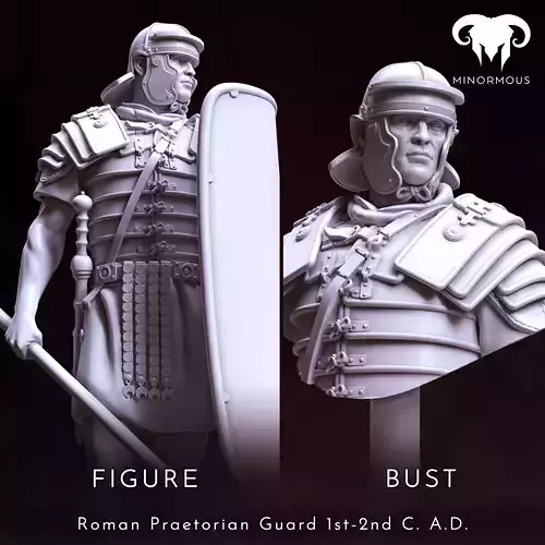 Bundle - Roman Praetorian Guard 1st-2nd CAD ready for the games