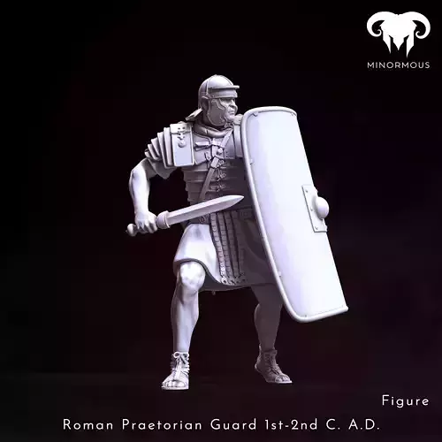 Figure - Roman Praetorian Guard 1st-2nd CAD in Action