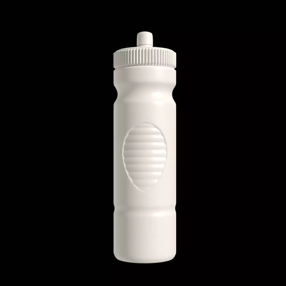 Water Bottle Mockup Free 3D model