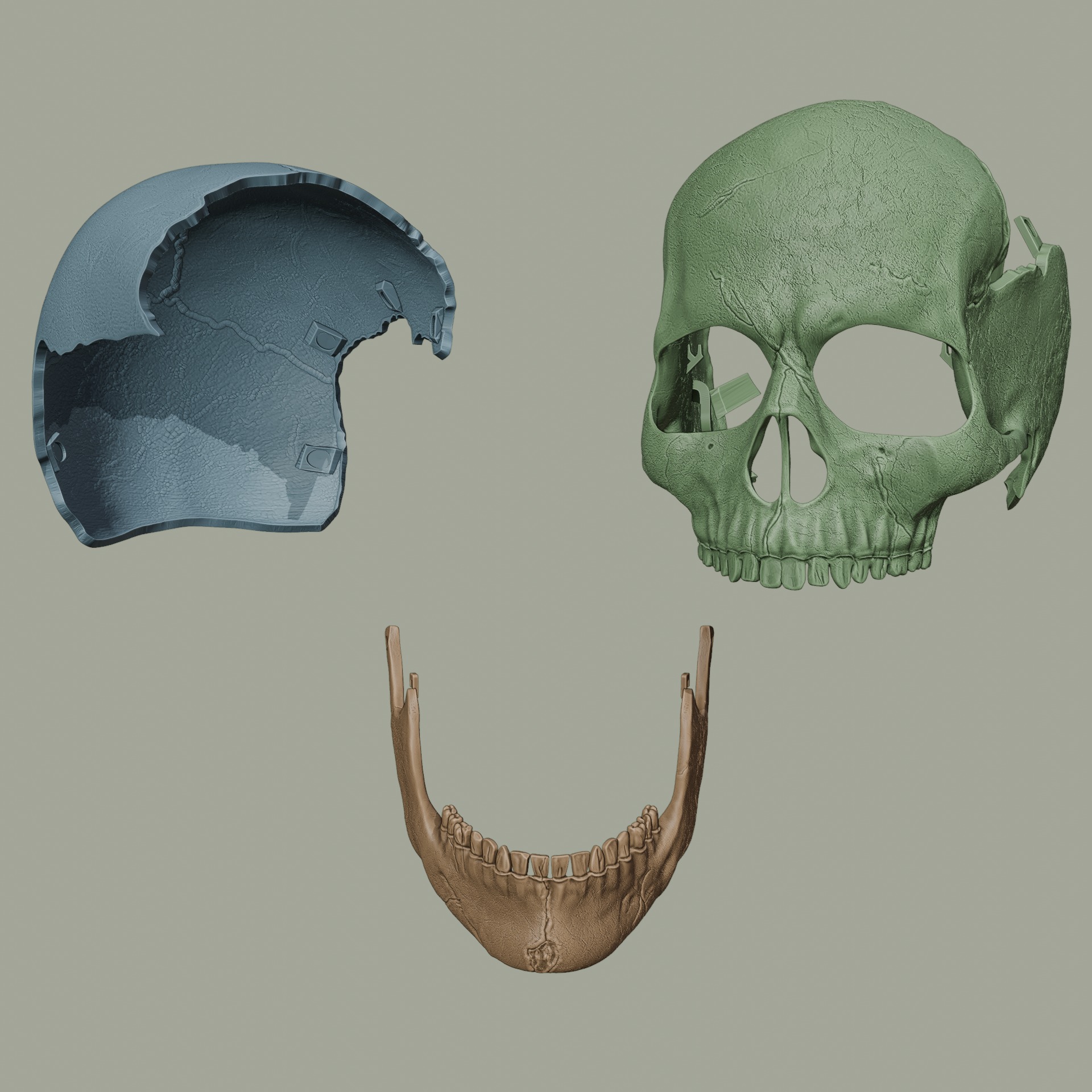 Magnetic Articulated Skull 3D print model_2