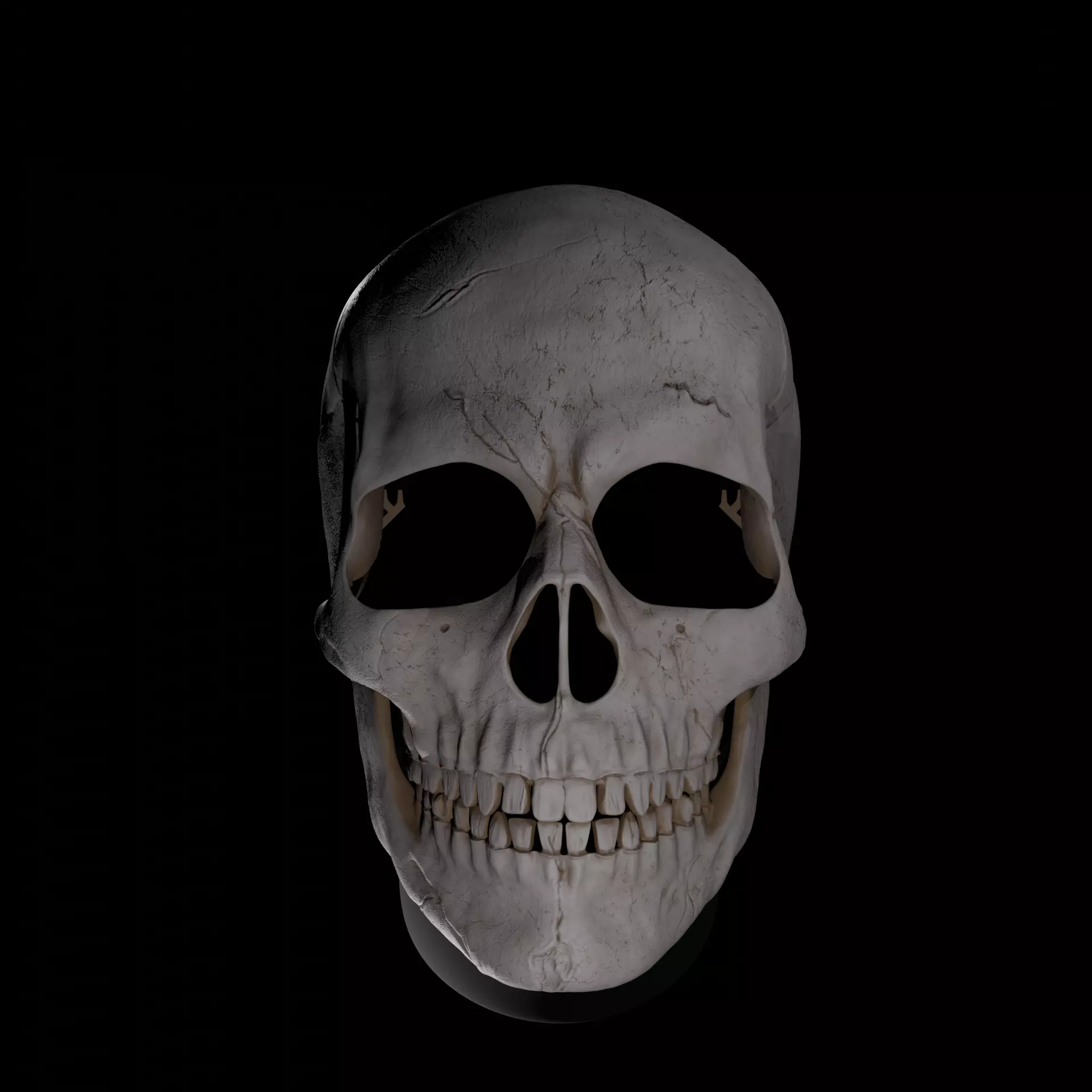 Magnetic Articulated Skull 3D print model_0