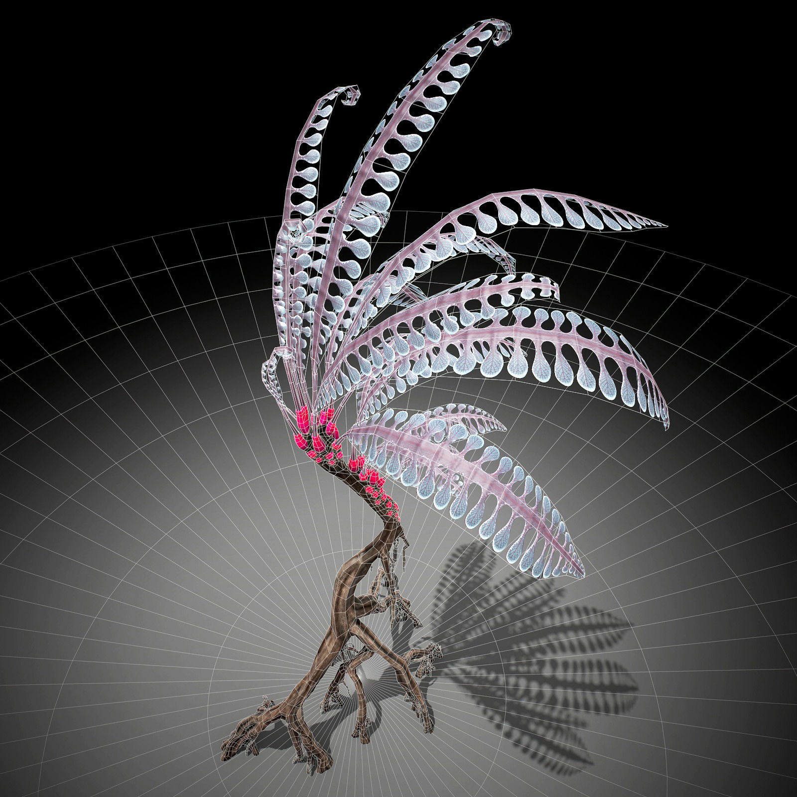 Alien Plant Fern Type 1 Low-poly 3D model_4