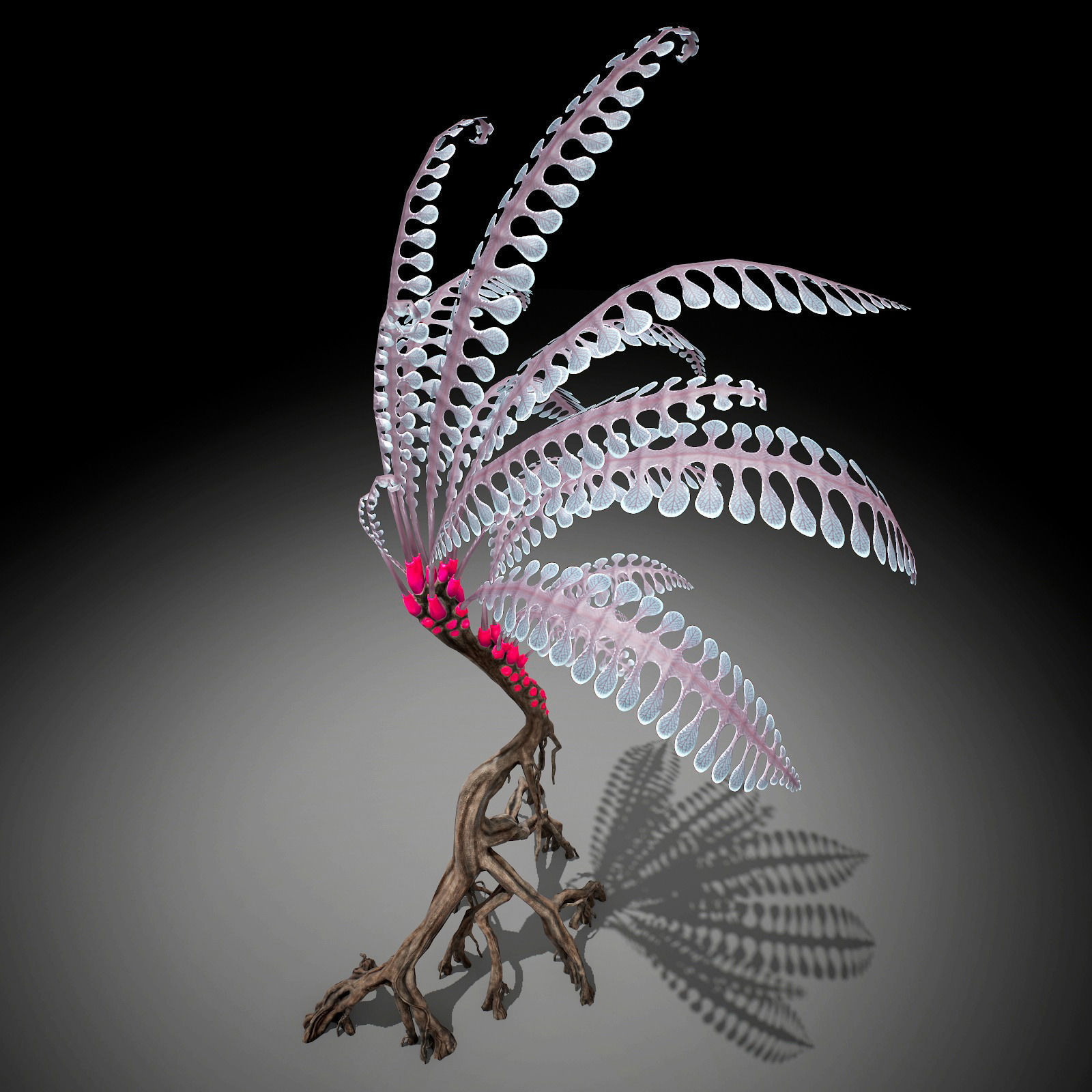 Alien Plant Fern Type 1 Low-poly 3D model_3