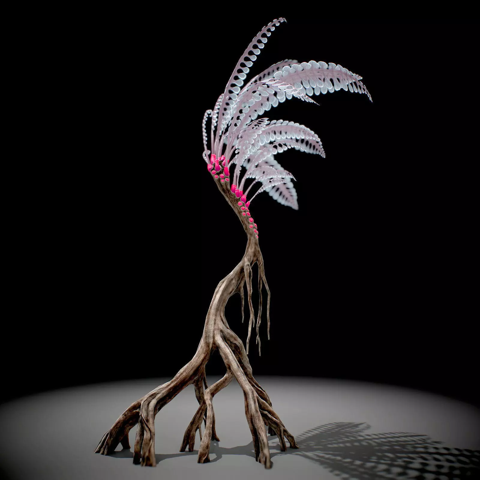 Alien Plant Fern Type 1 Low-poly 3D model_0