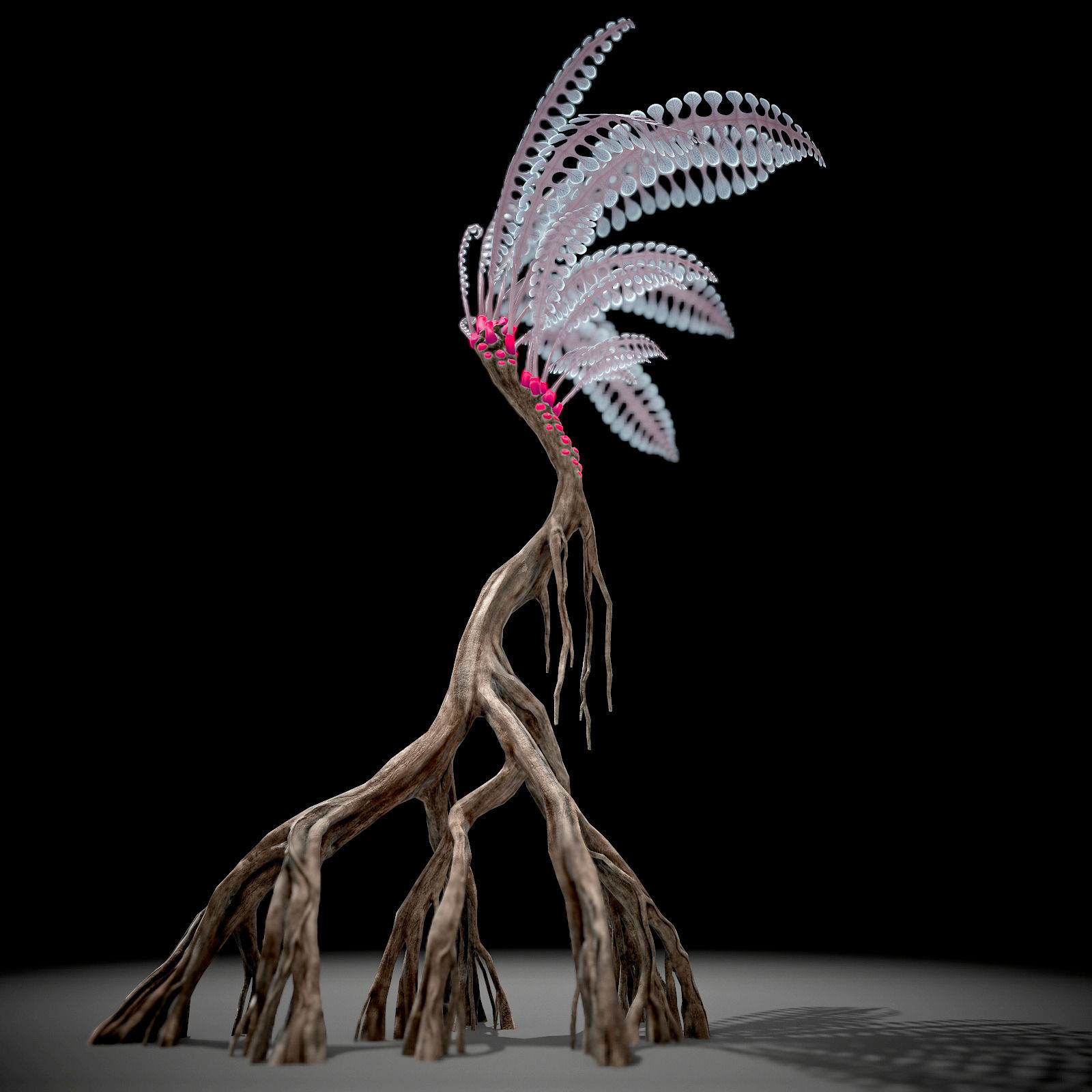 Alien Plant Fern Type 1 Low-poly 3D model_5