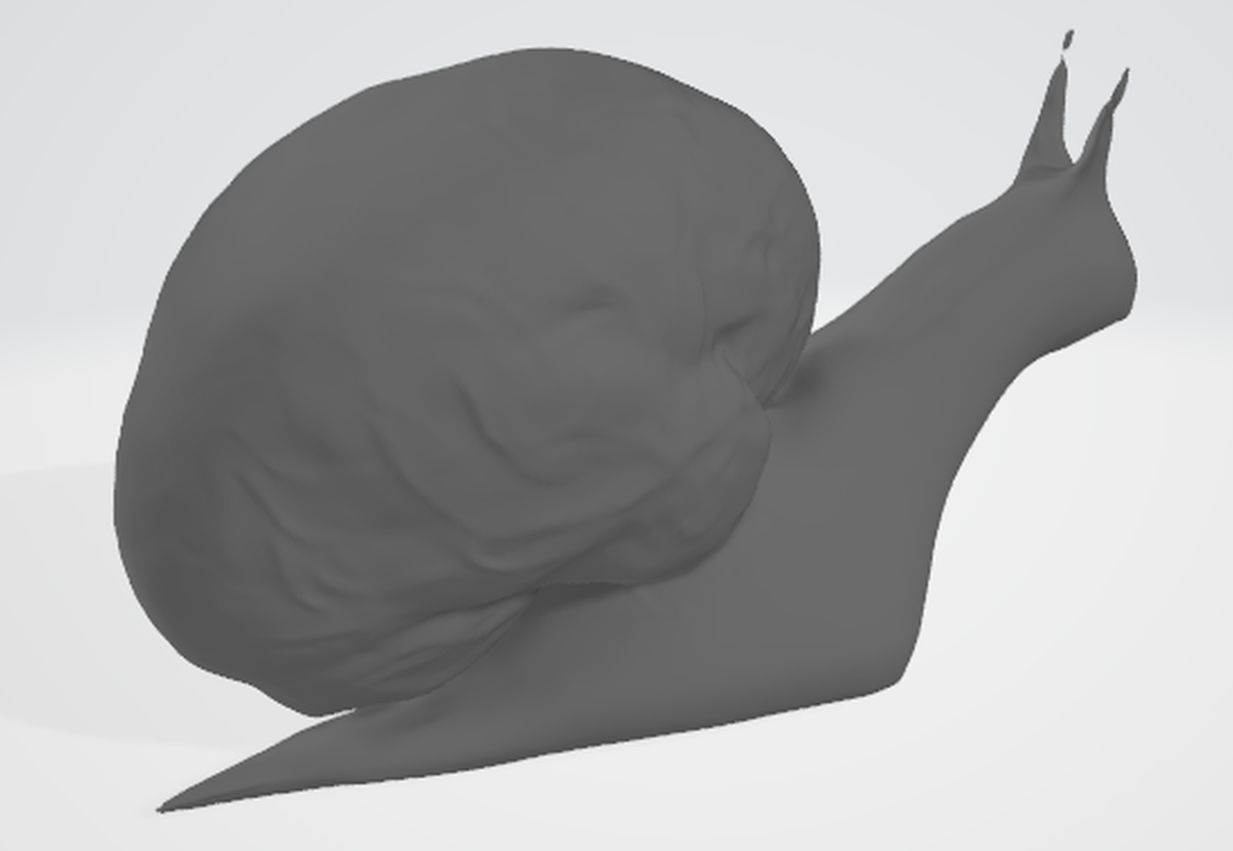 Quirky Brain-Shaped Slug Model 3D model_6