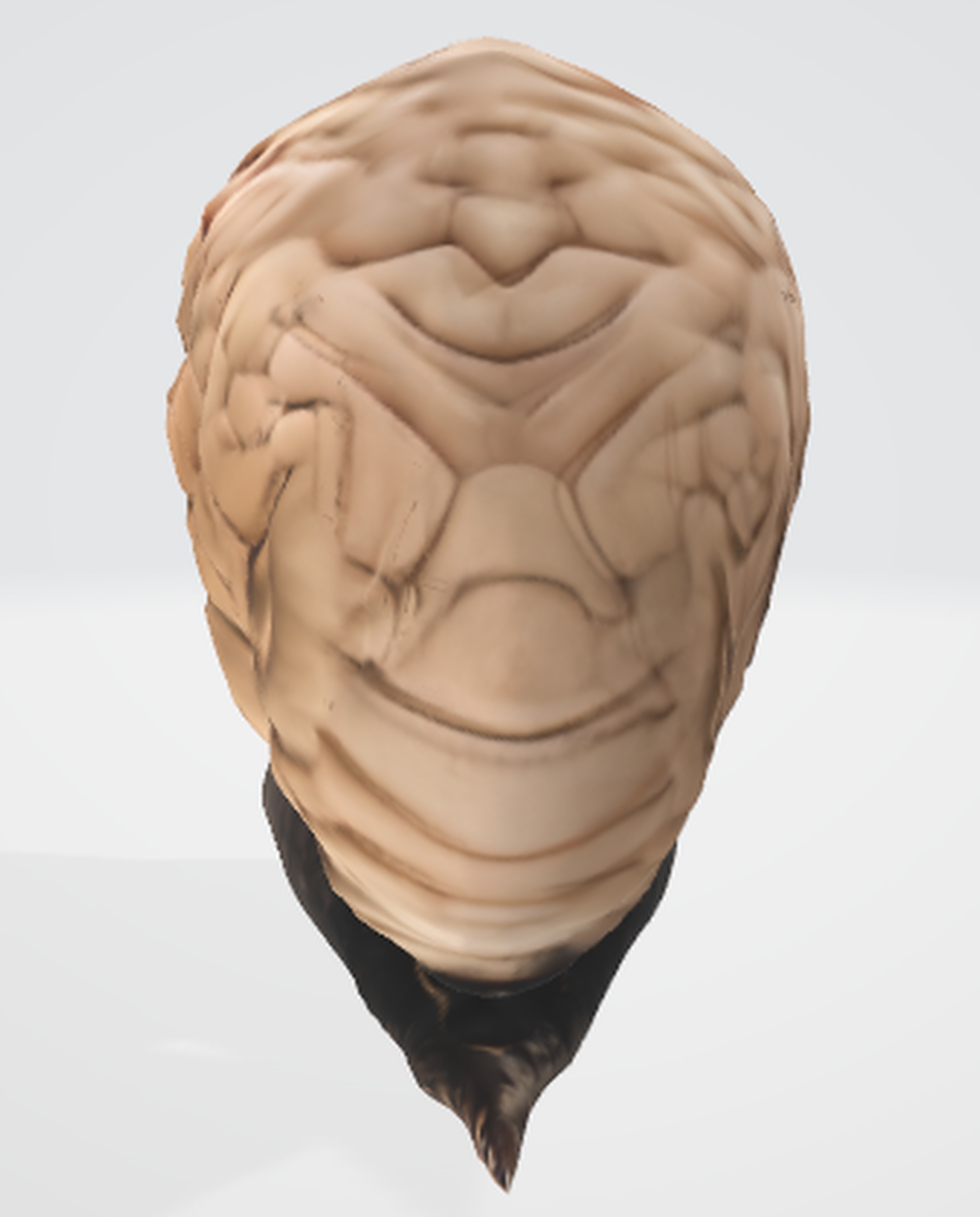 Quirky Brain-Shaped Slug Model 3D model_2