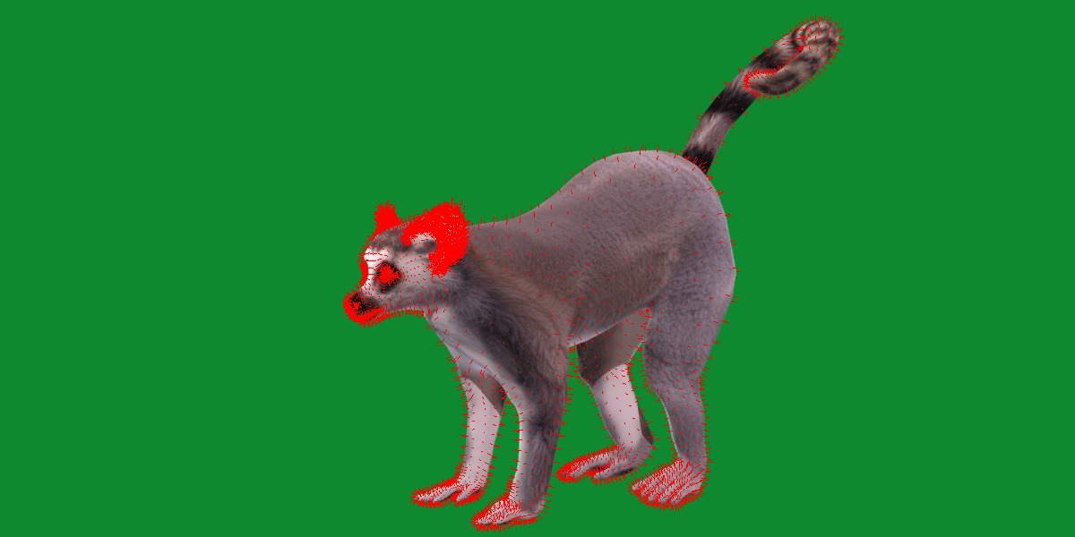Ring Tailed Lemur Low-poly 3D model_22