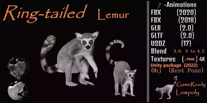 Ring Tailed Lemur Low-poly 3D model