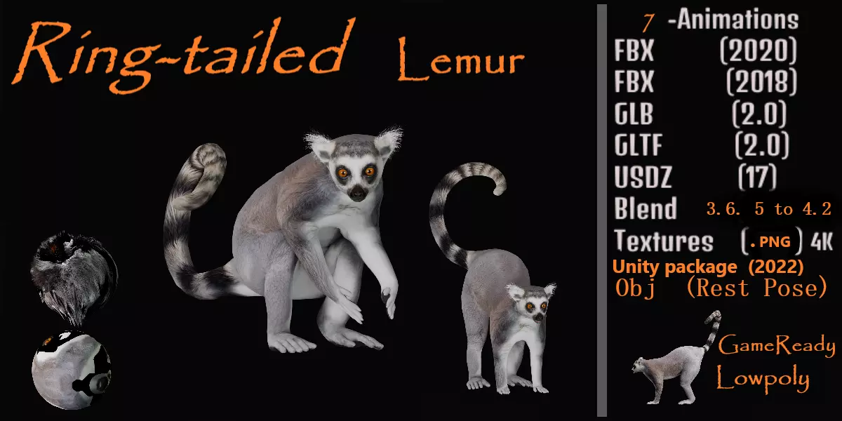 Ring Tailed Lemur Low-poly 3D model_0