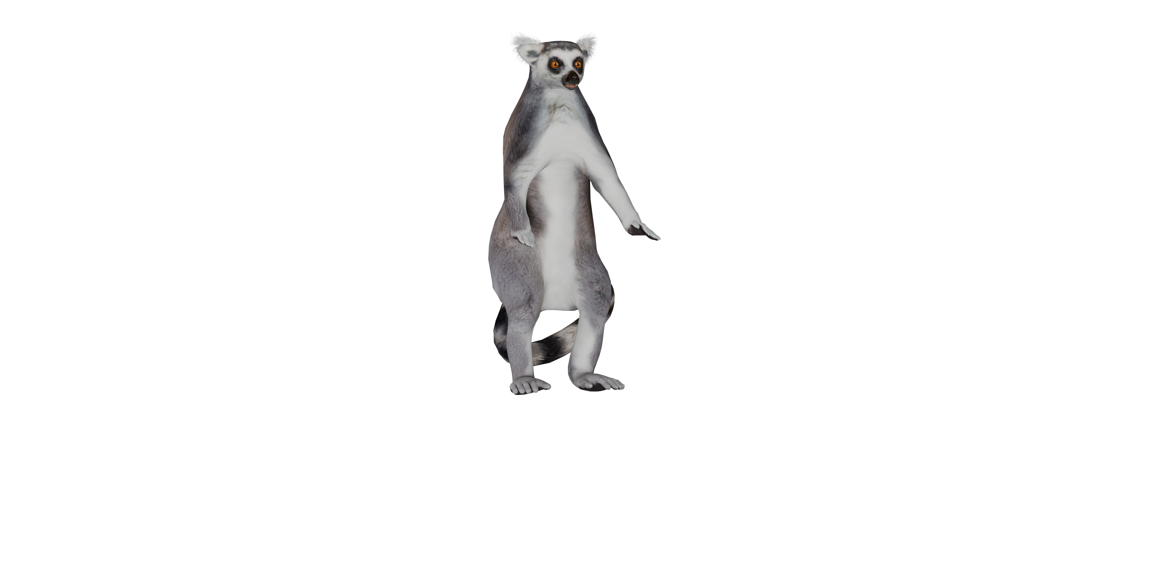 Ring Tailed Lemur Low-poly 3D model_3