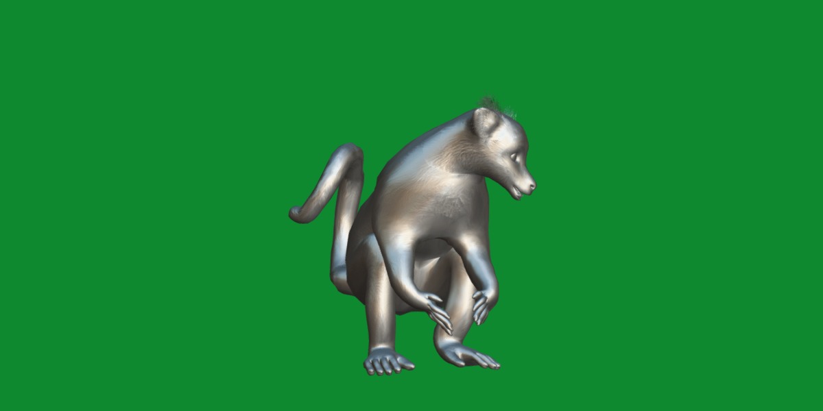 Ring Tailed Lemur Low-poly 3D model_18
