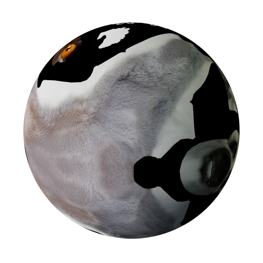 Ring Tailed Lemur Low-poly 3D model_35