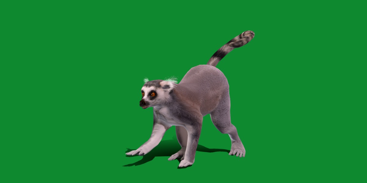 Ring Tailed Lemur Low-poly 3D model_15
