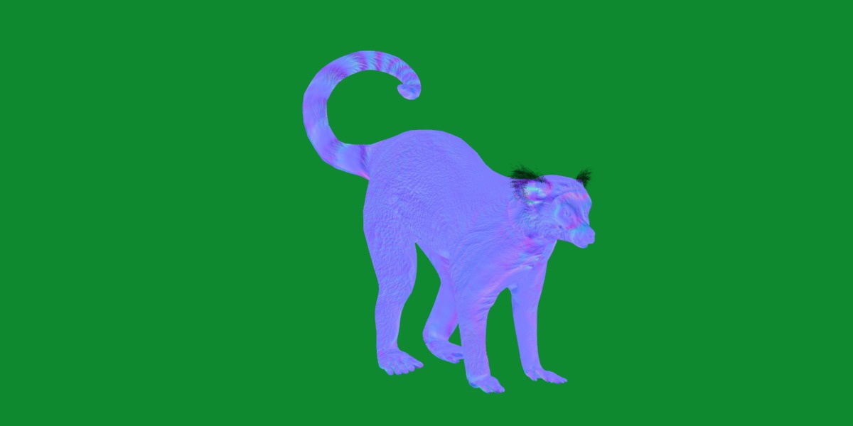 Ring Tailed Lemur Low-poly 3D model_12