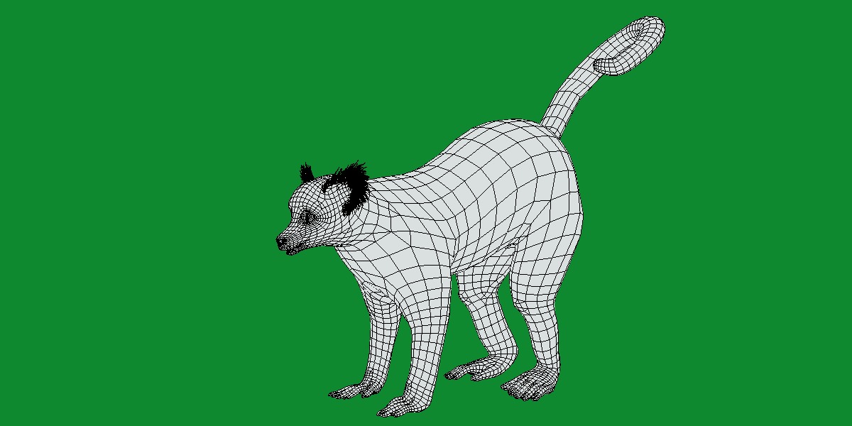 Ring Tailed Lemur Low-poly 3D model_20