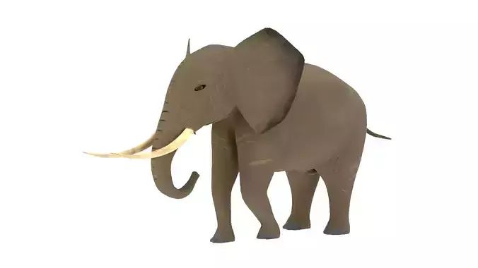 Elephant 3D Model Rigged and Animated