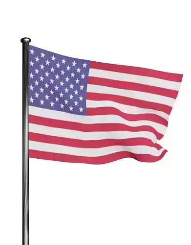 USA flag- The United states of America 3D model