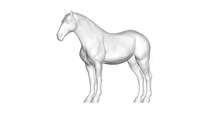 Horse 