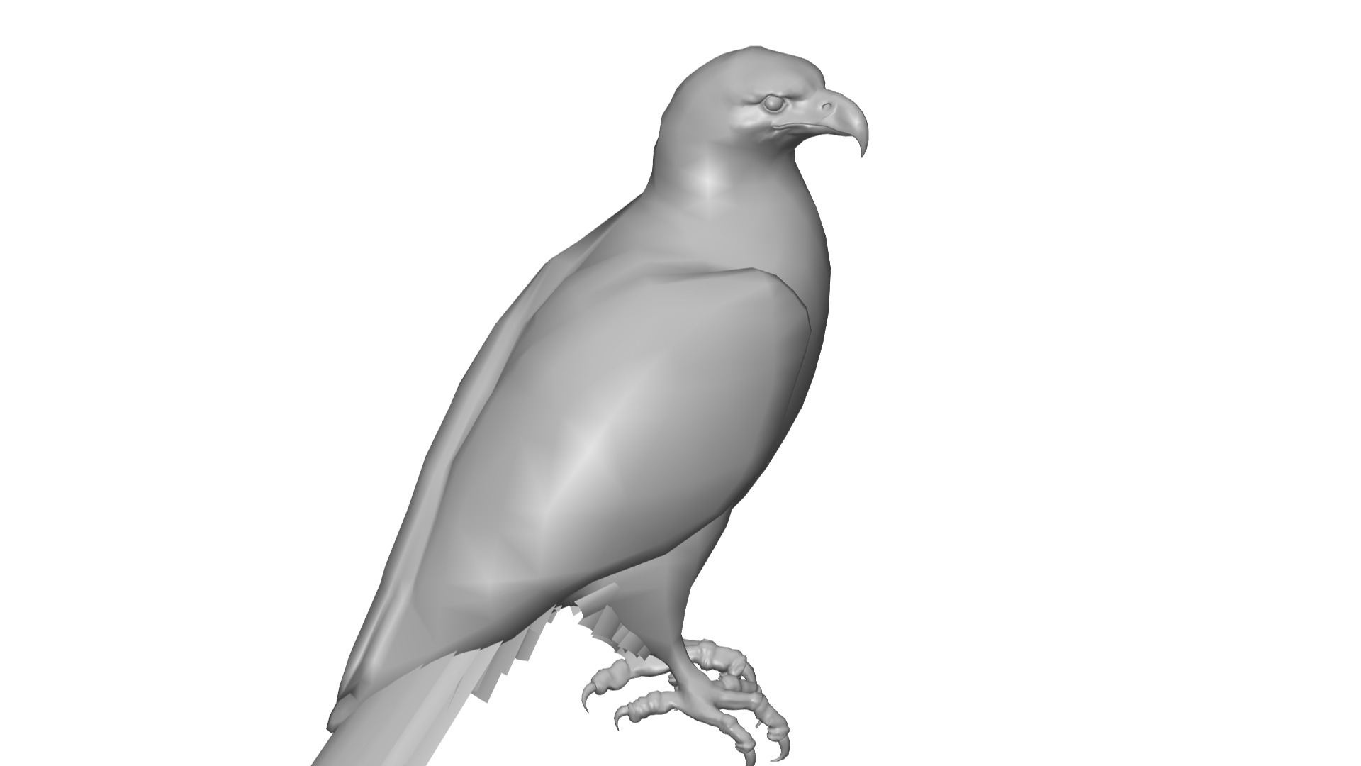Eagle 3D model_1