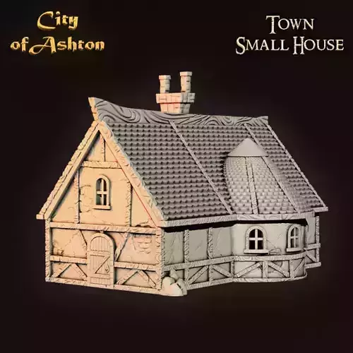 Town Small House 3D print model