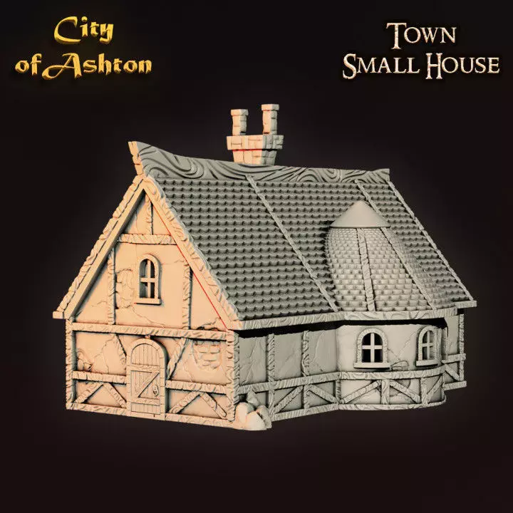 Town Small House 3D print model