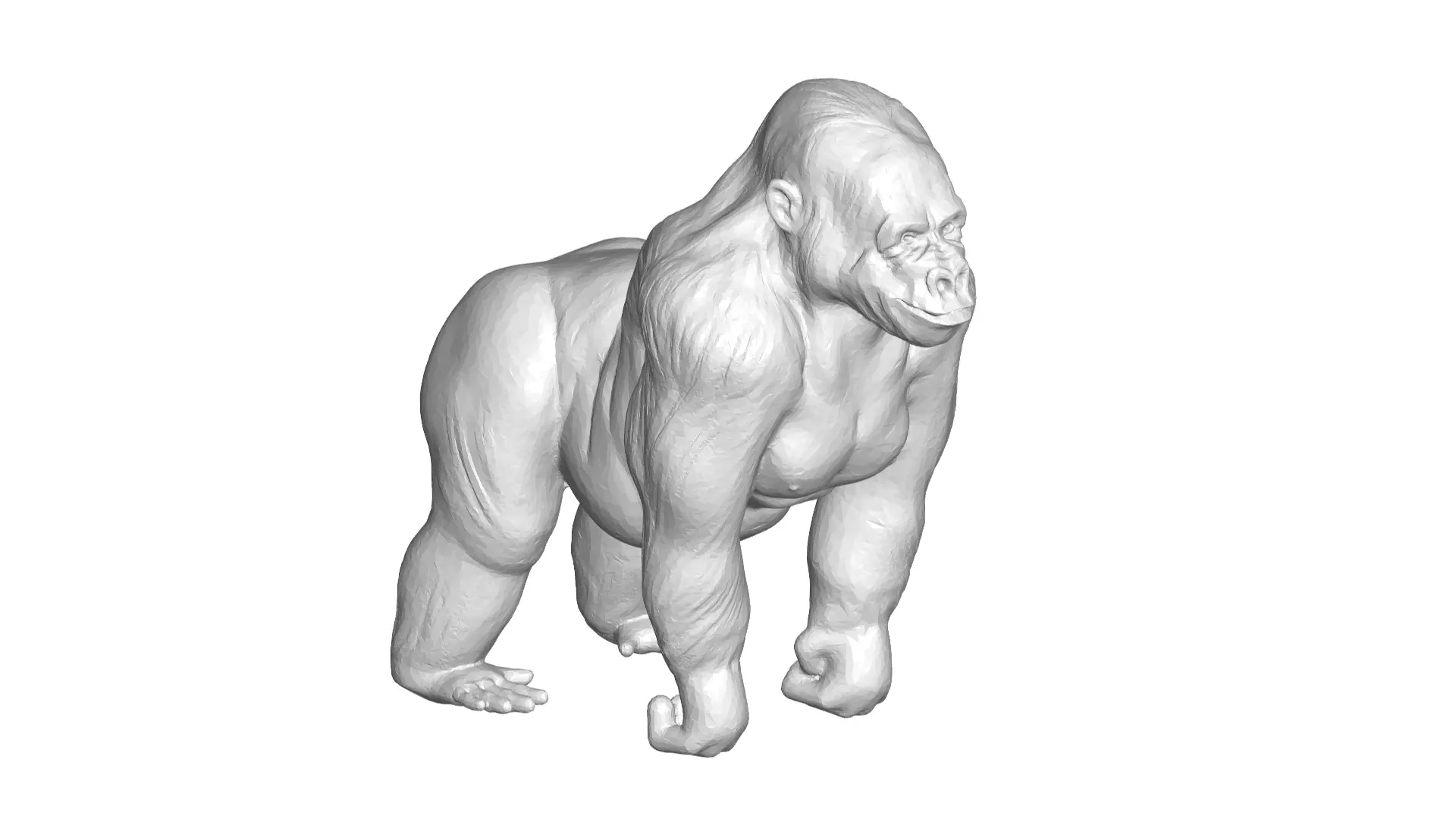 Gorilla 3D model_0