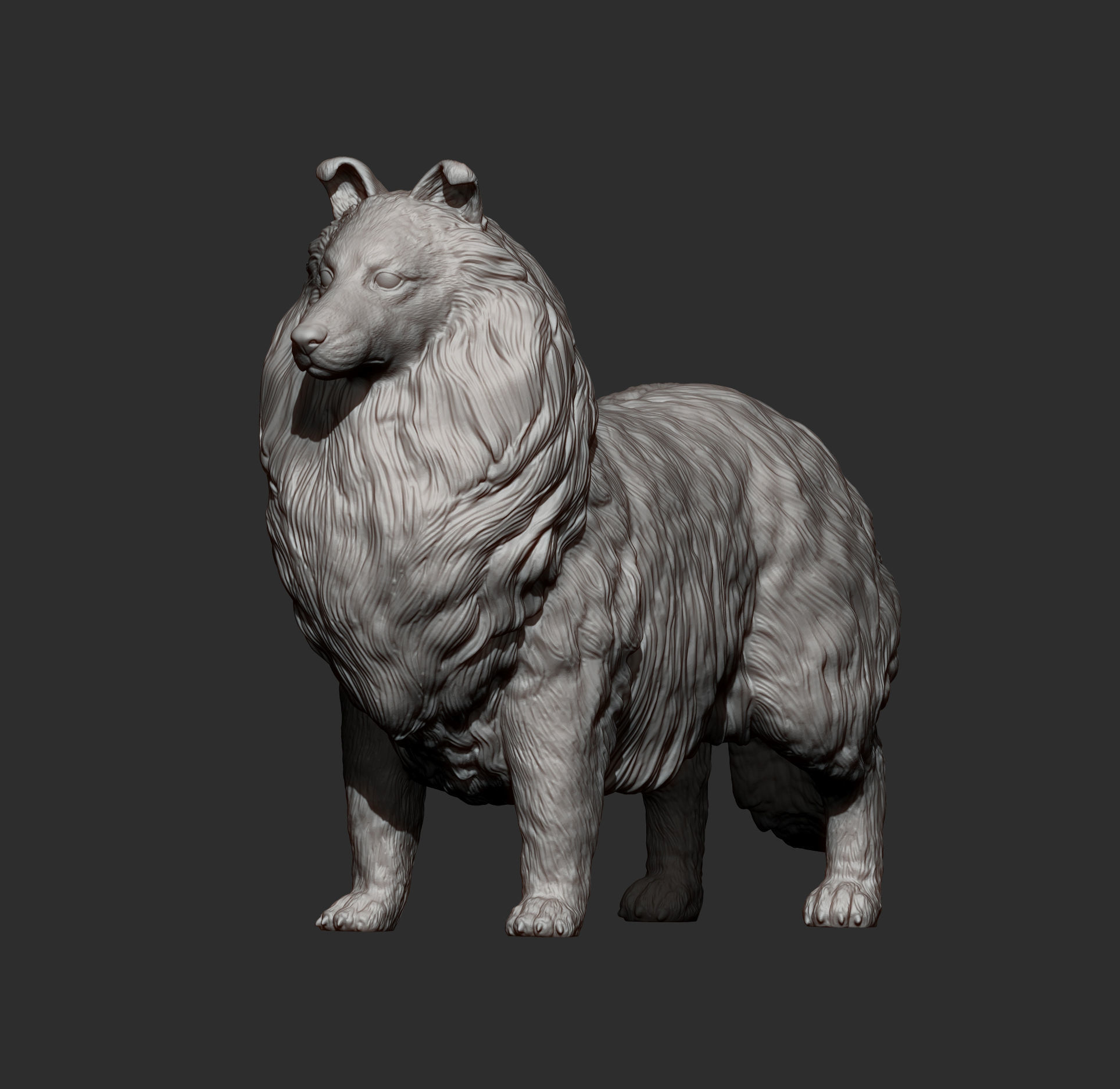 Sheltie 3D print model_11