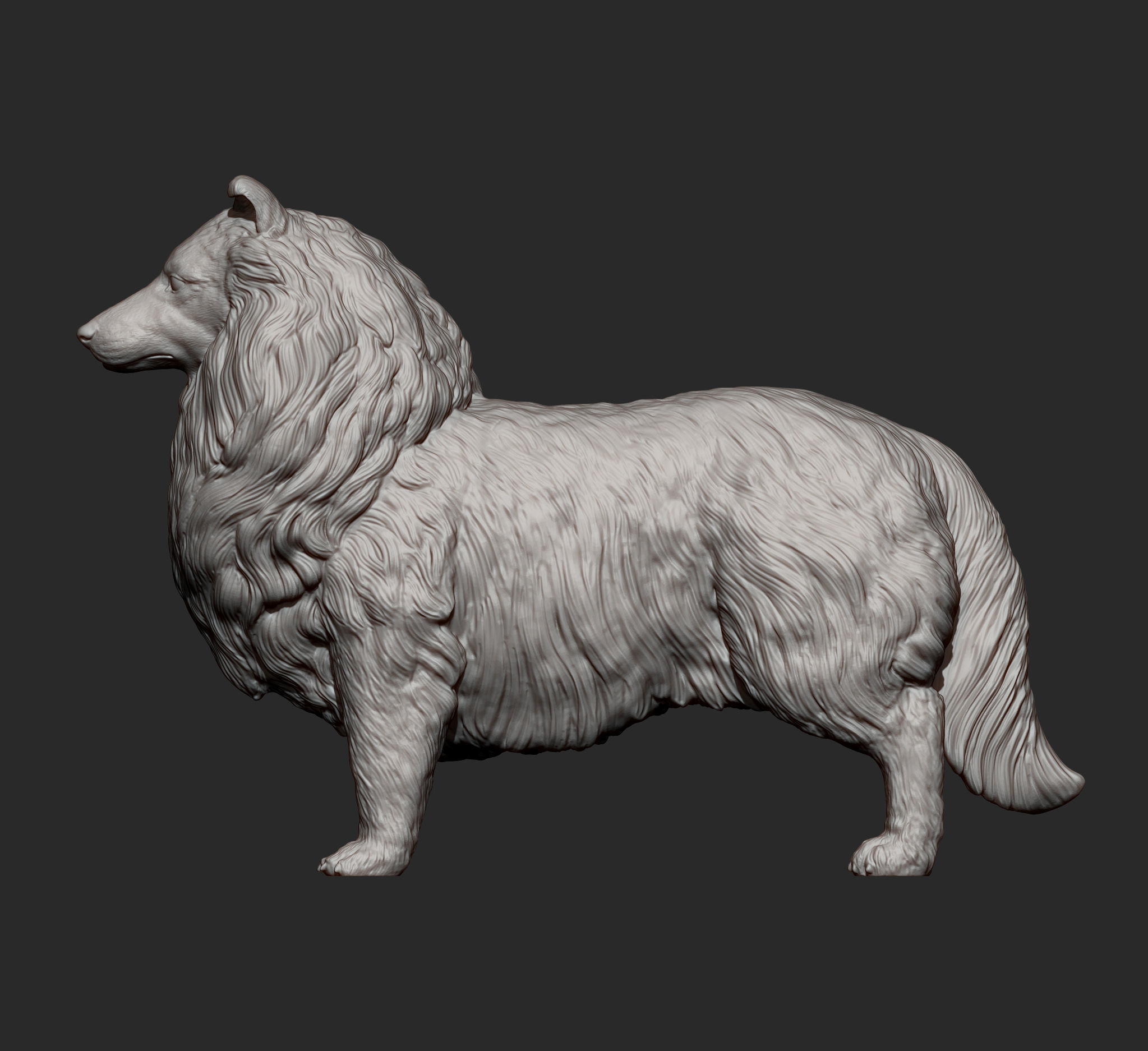 Sheltie 3D print model_9