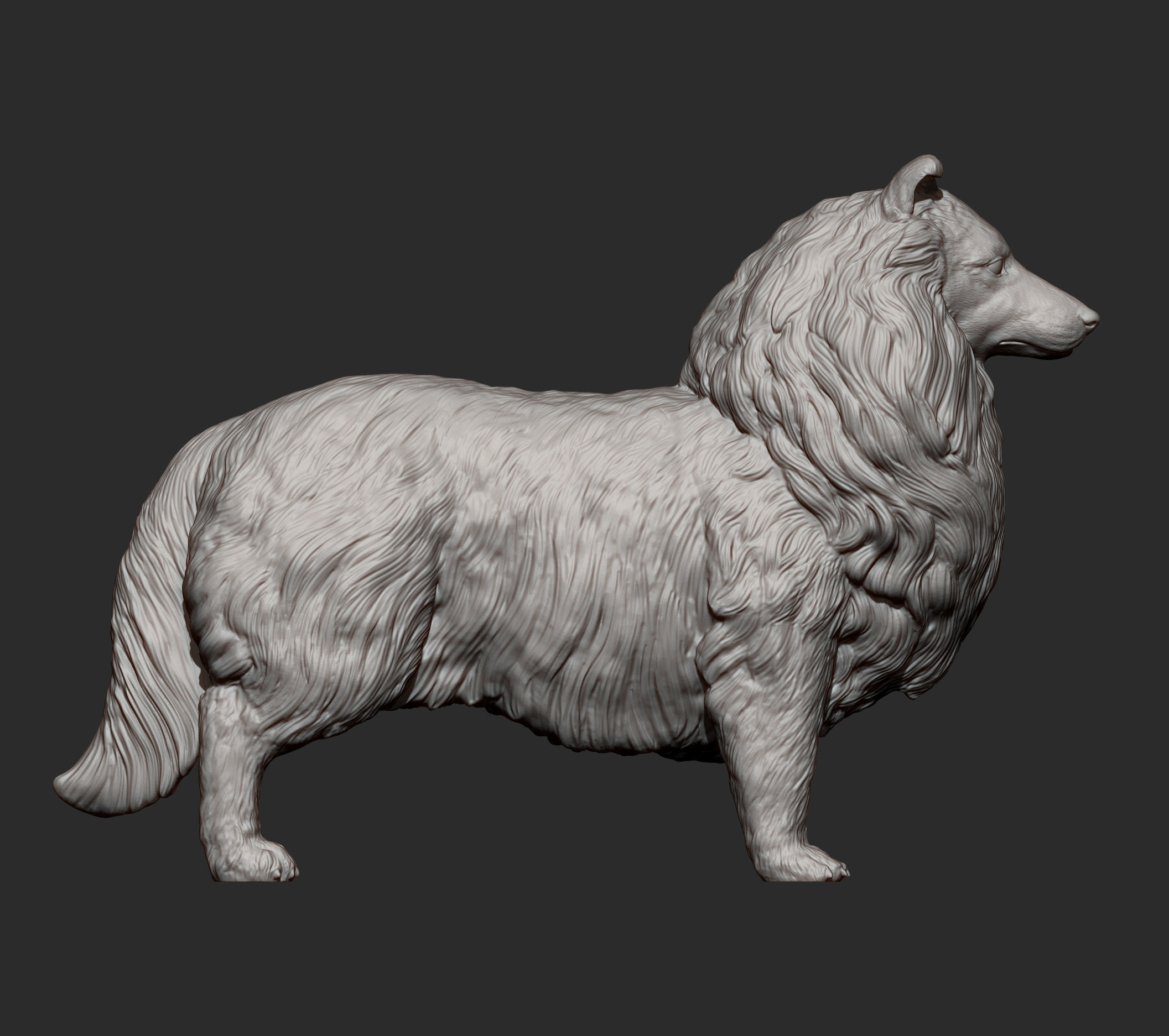Sheltie 3D print model_14