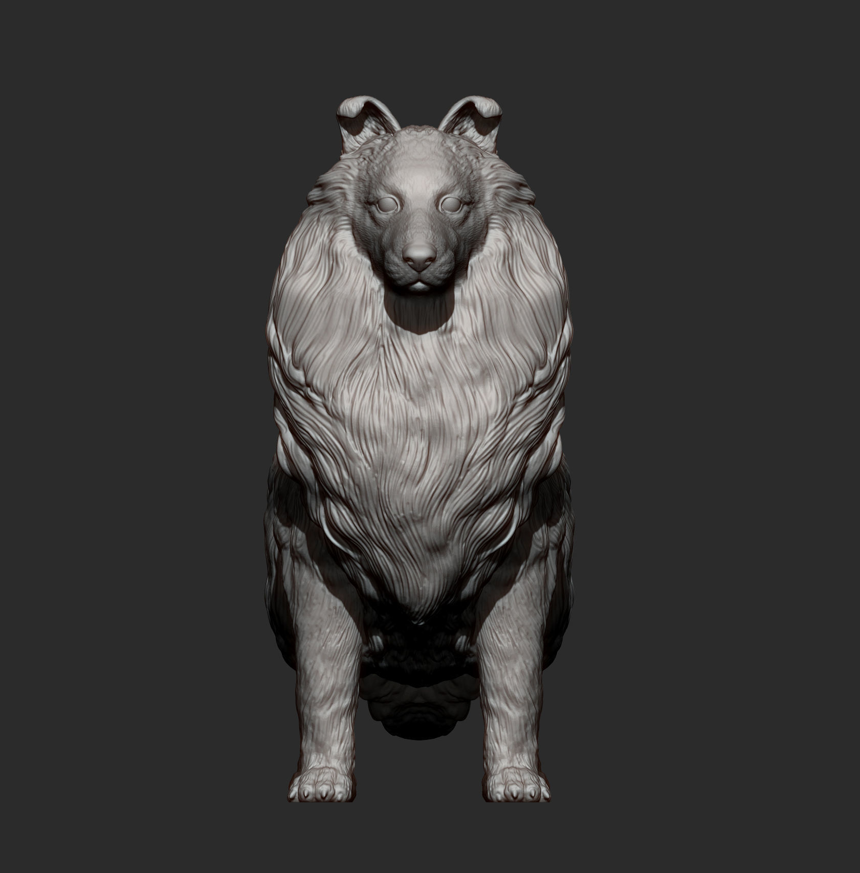 Sheltie 3D print model_10