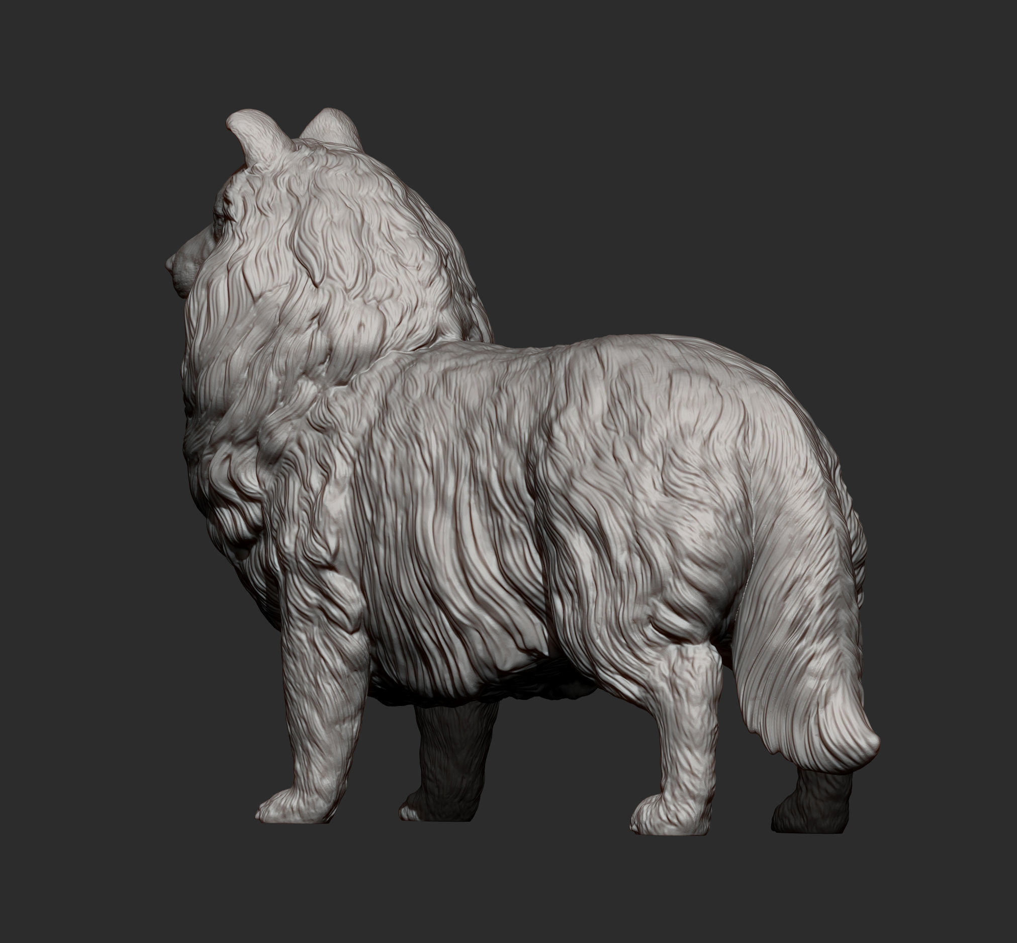 Sheltie 3D print model_13