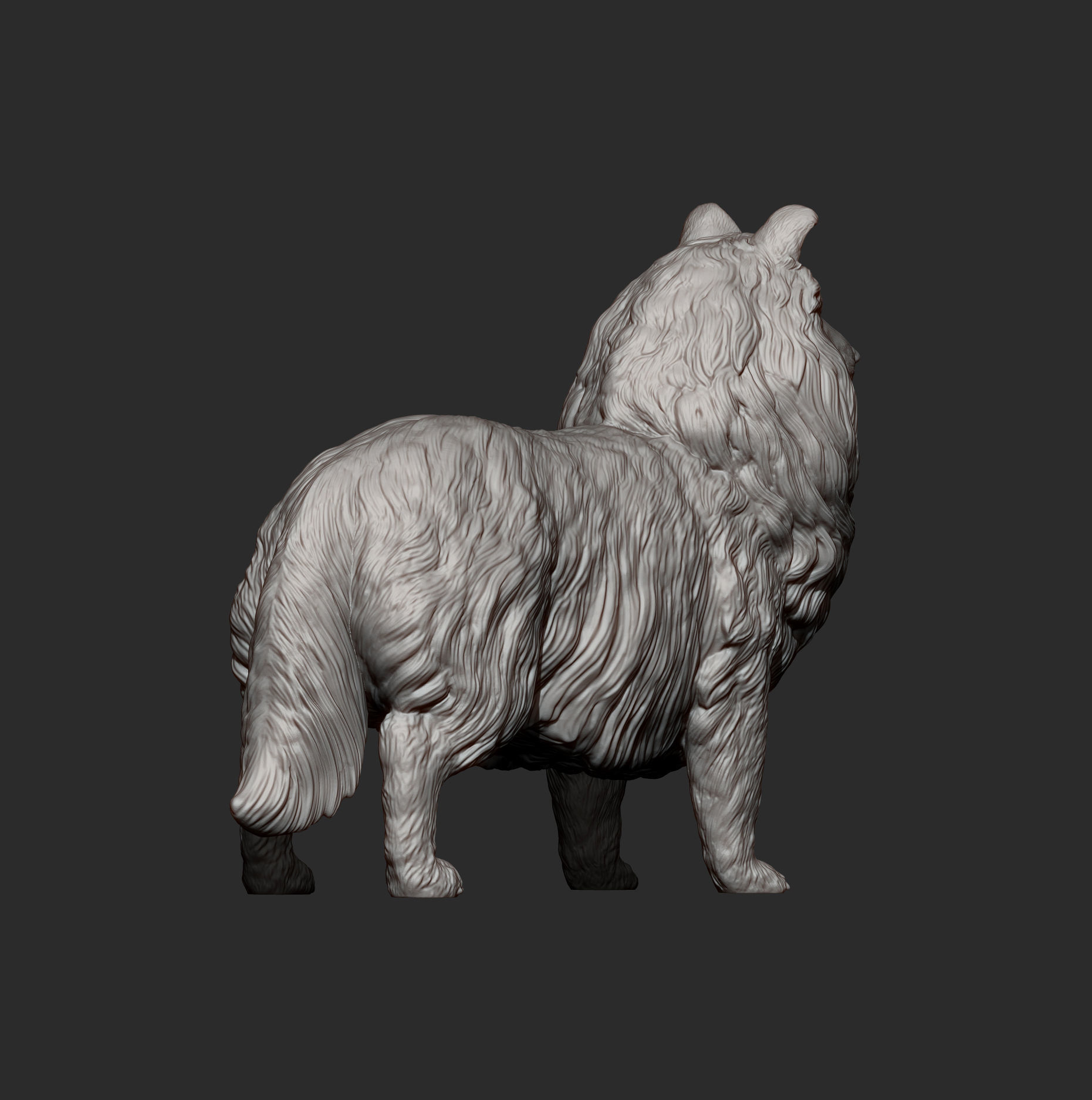 Sheltie 3D print model_12