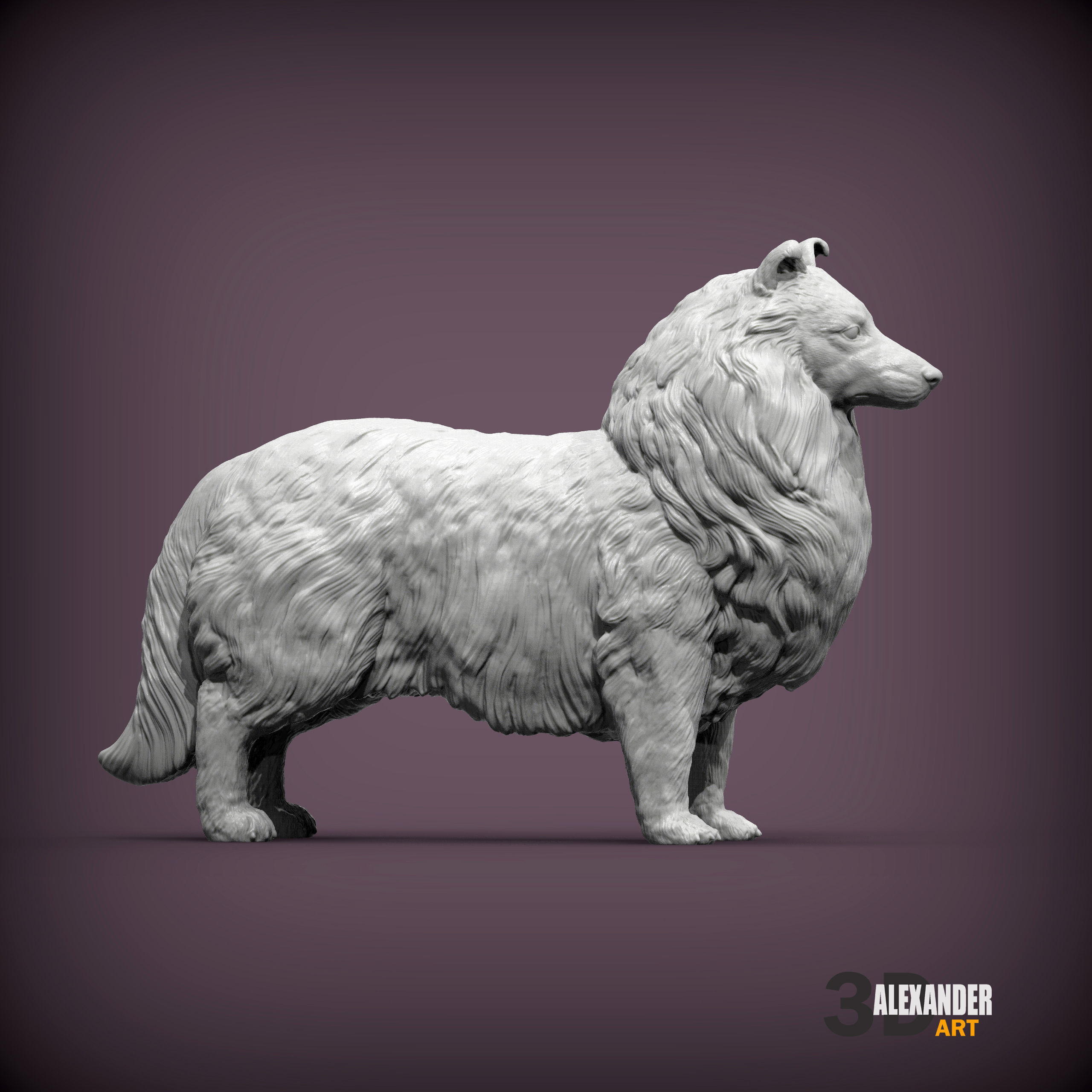 Sheltie 3D print model_4