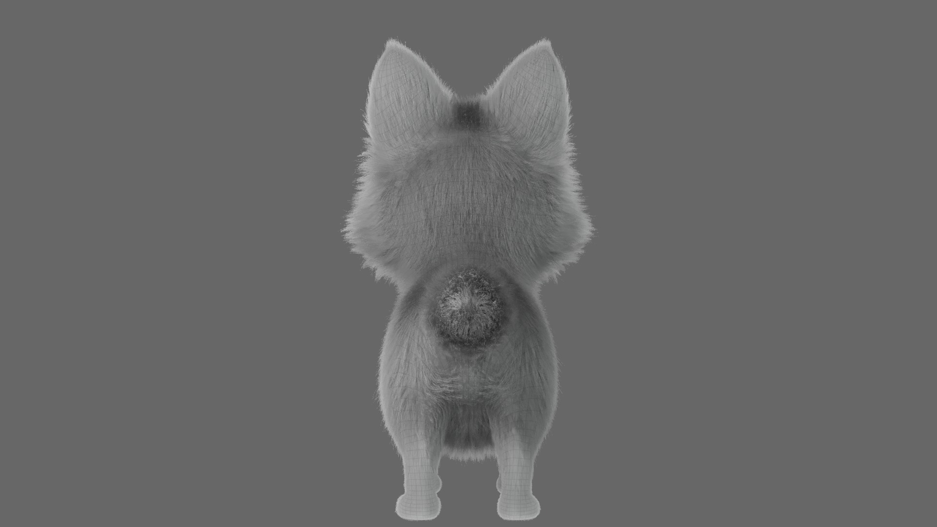 Cartoon Fox Dog Rigged 3D model_18