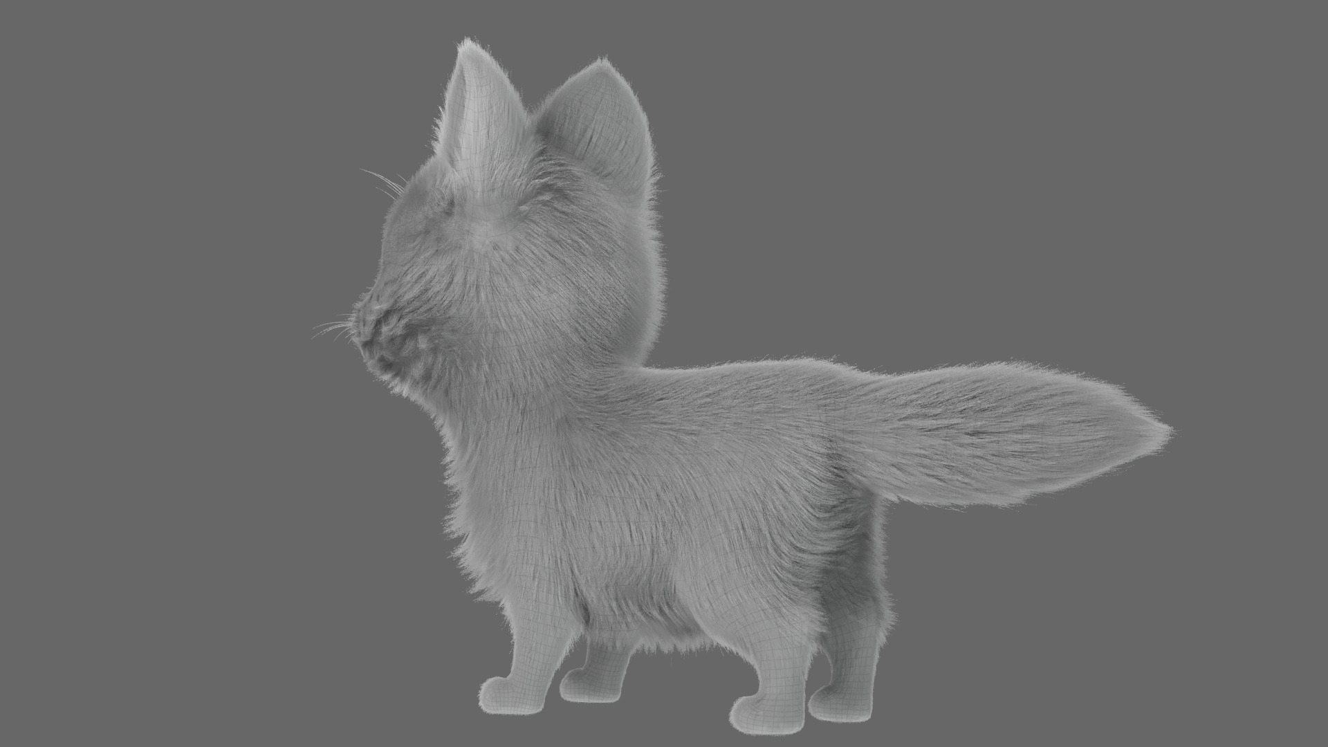 Cartoon Fox Dog Rigged 3D model_22