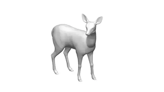 deer -