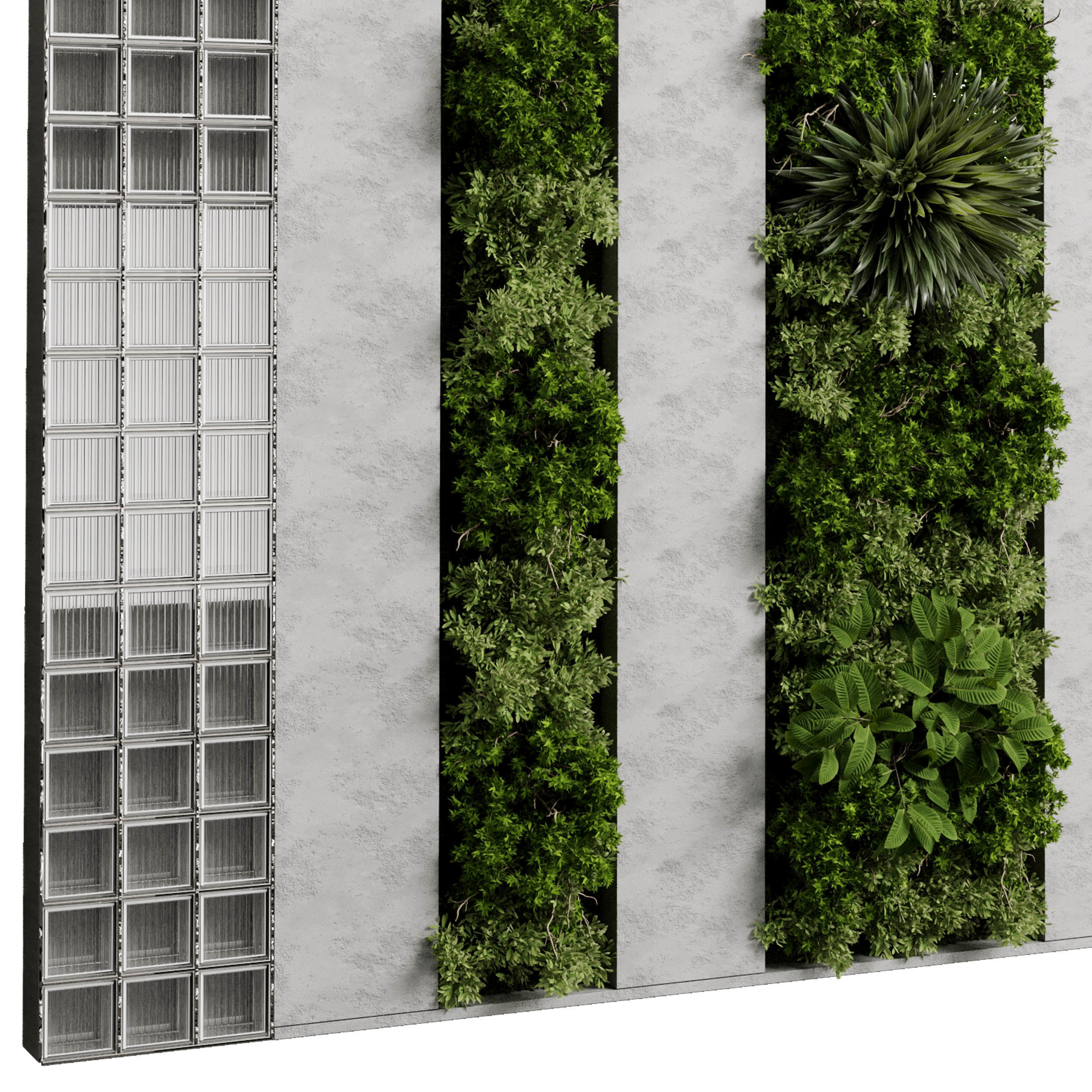 Vertical Garden - Green Wall in a concrete dirty 95 3D model_2