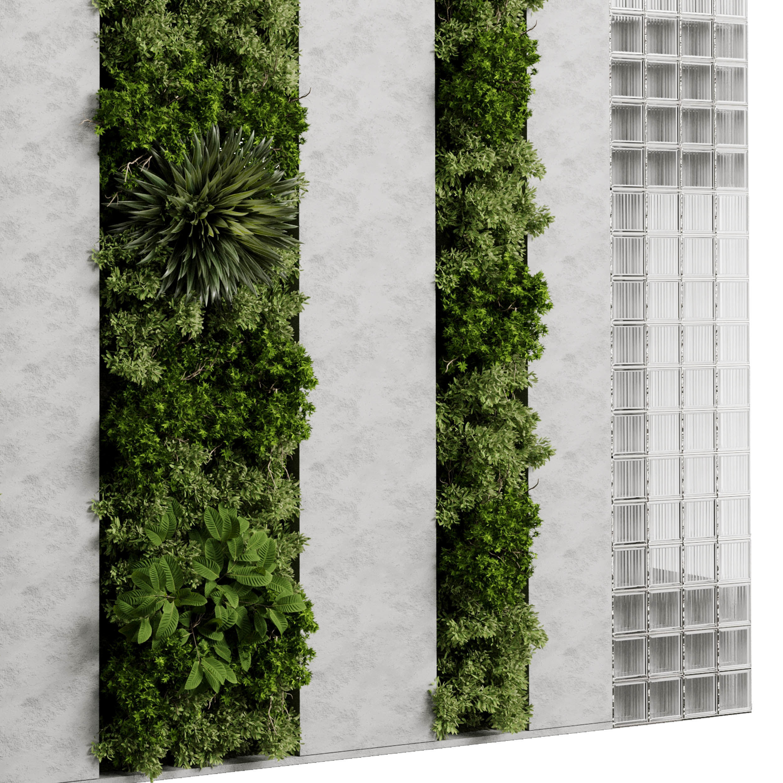Vertical Garden - Green Wall in a concrete dirty 95 3D model_4