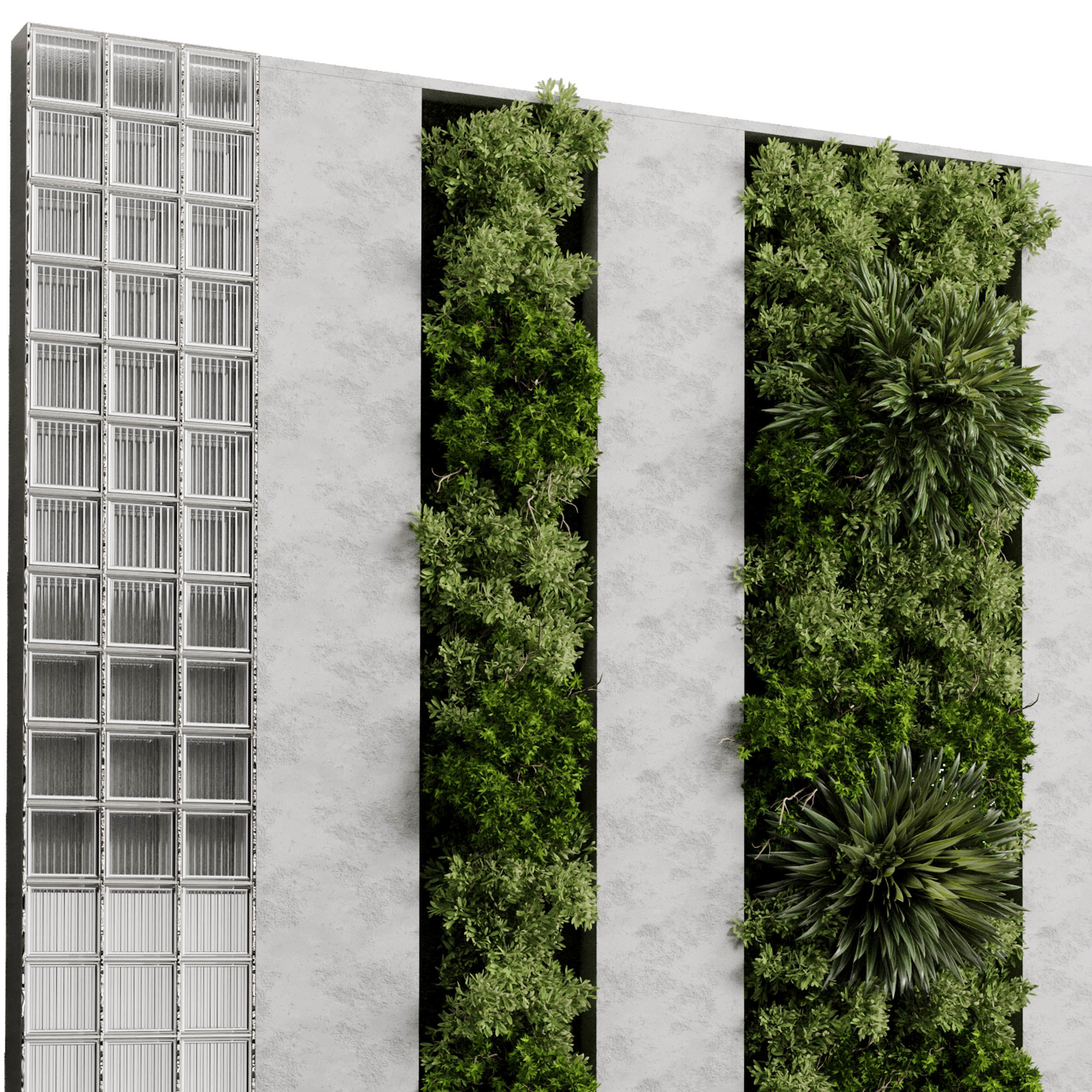 Vertical Garden - Green Wall in a concrete dirty 95 3D model_1