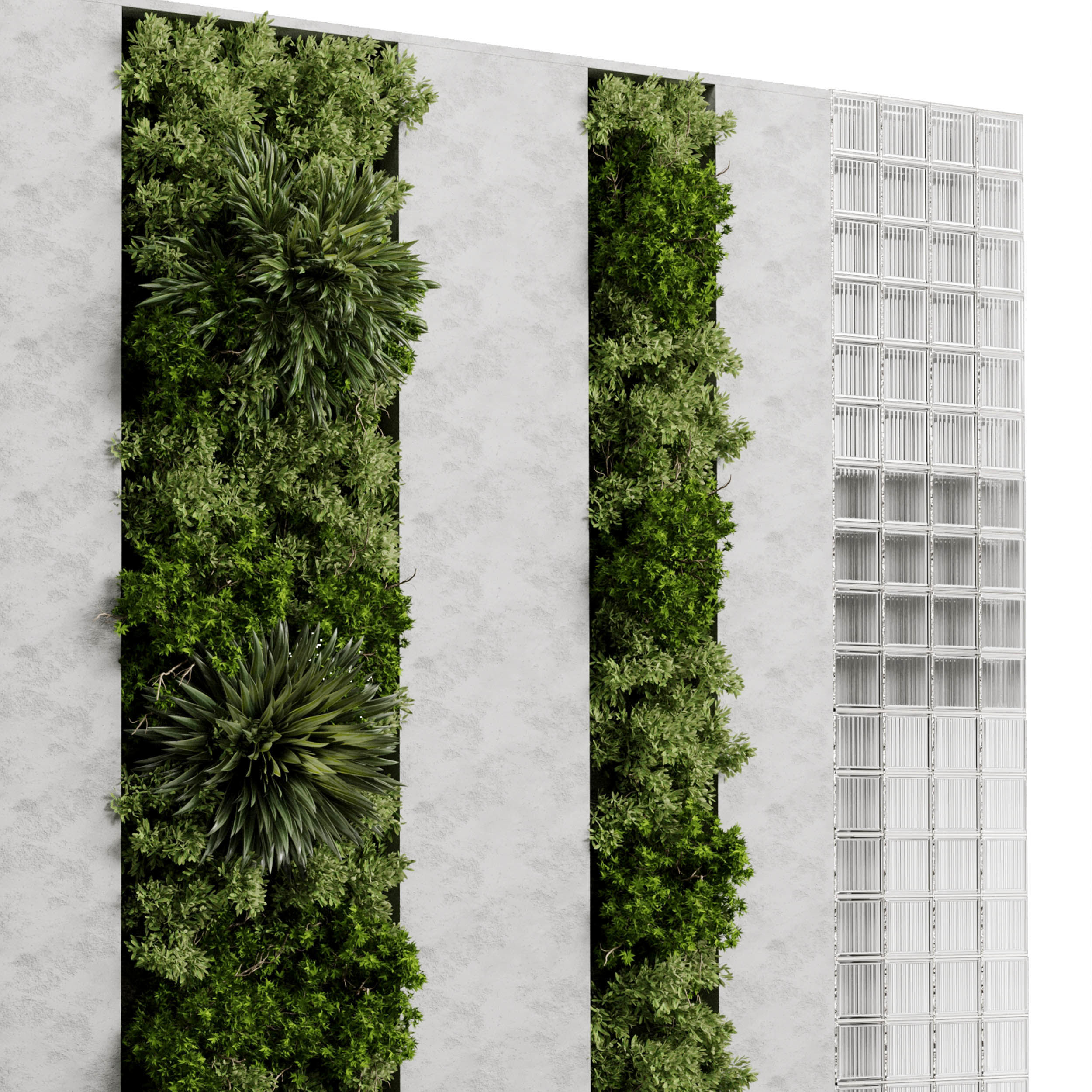 Vertical Garden - Green Wall in a concrete dirty 95 3D model_3
