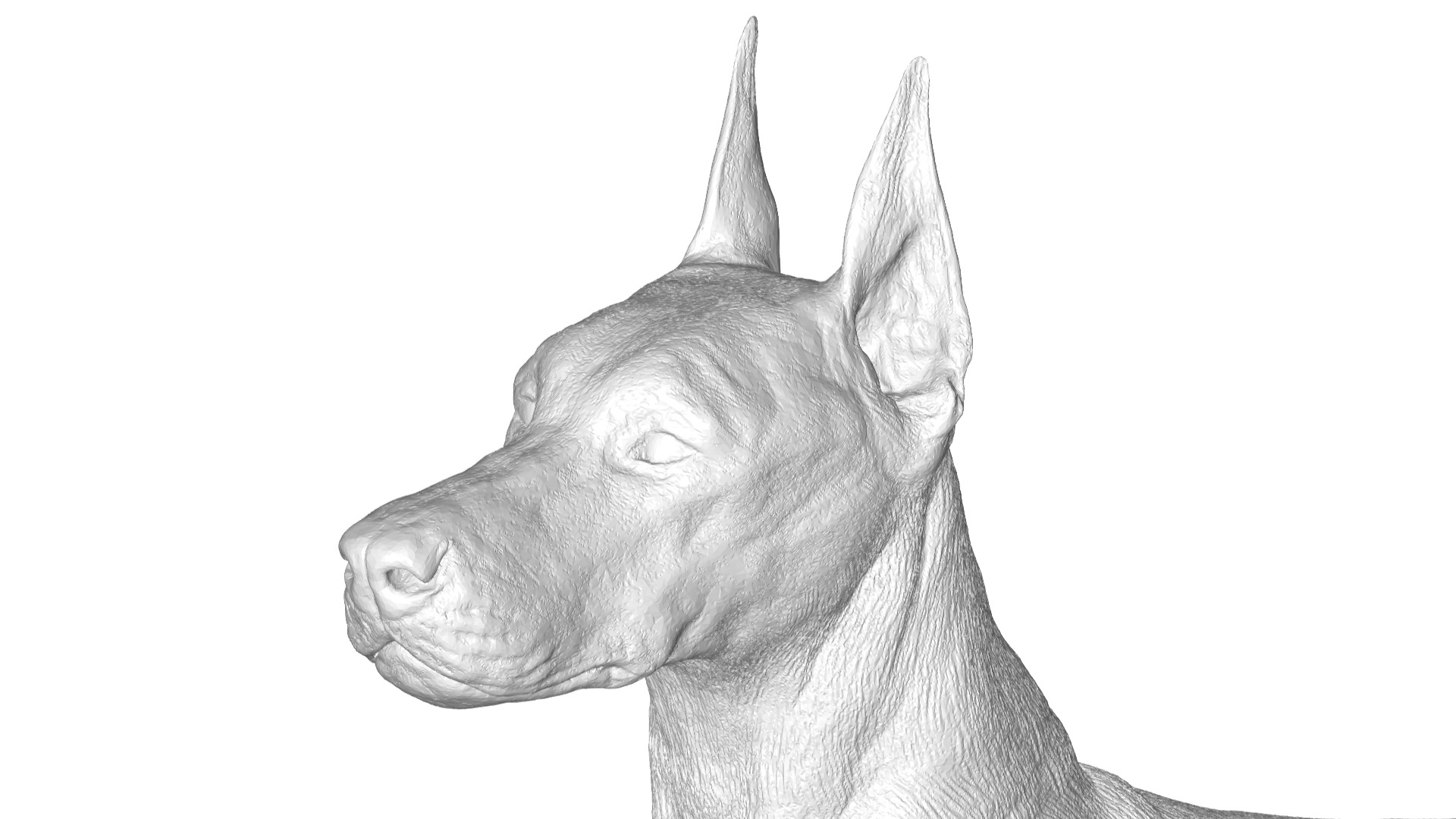 doberman 3D model_1