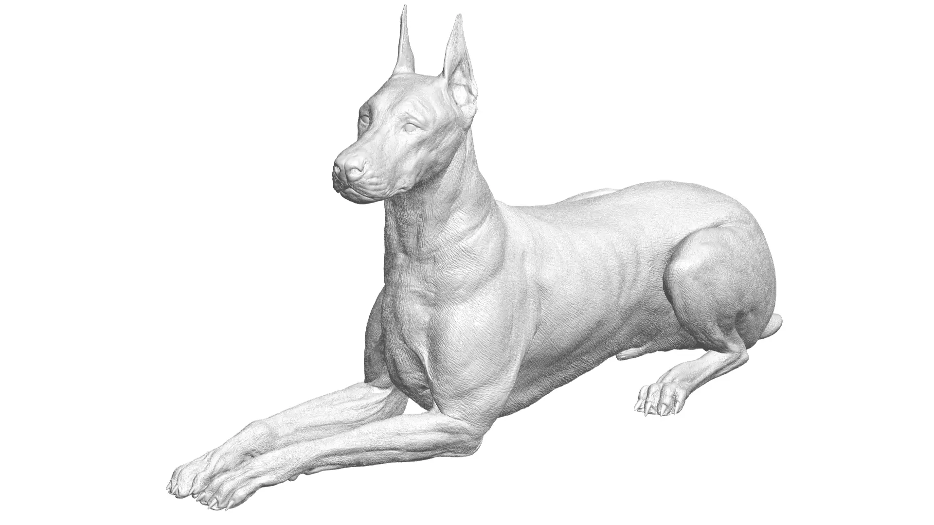 doberman 3D model_0