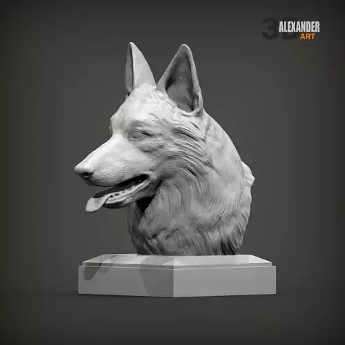 Swiss white shepherd bust
