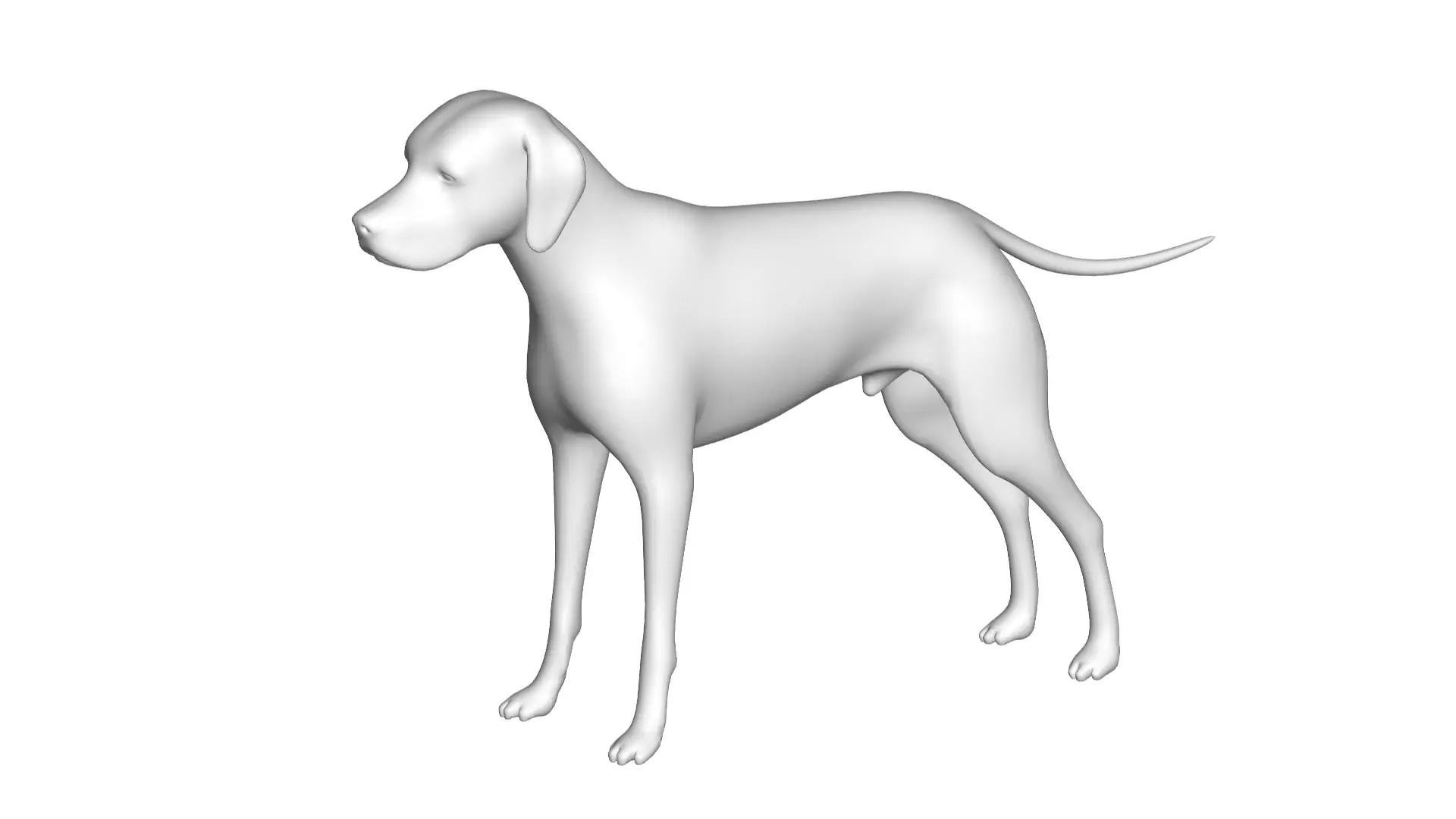 Dog - 3D model_0