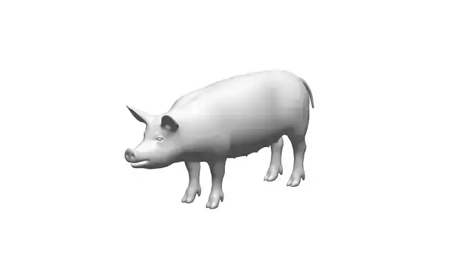 pig -