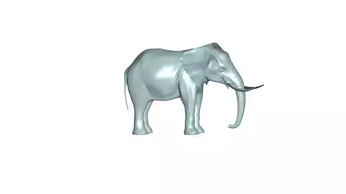 elephant